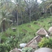 bali en lombok 831