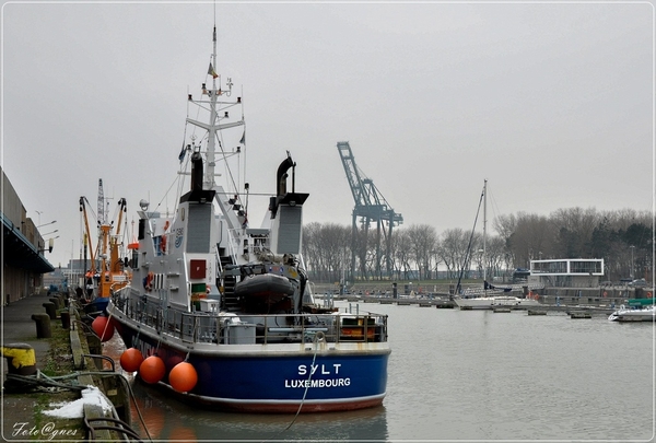 Zeebrugge -522 (16)