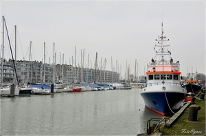 Zeebrugge -522 (20)