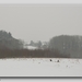 wandeling naar Everbeek boven in de sneeuw 20 jan.-35
