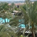 palm oases 2012 022