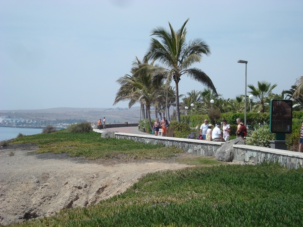 palm oases 2012 031