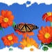 vlinders 31 (Medium)
