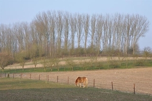 057-Panoramisch landschap in Roosdaal