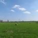 2013-04-24 Opwijk 013