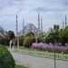 1 Istanbul  blauwe moskee Sultan Ahmet II vertezicht