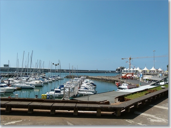 de haven van Funchal