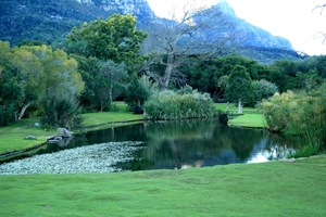 Kirstenbosch Kaapstad