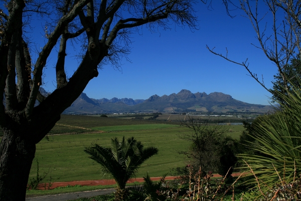 Wijnlandroute Stellenbosch-Franschhoek-Paarl