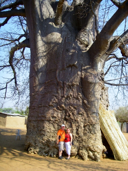Bekijk de verhouding baobab / genteresseerde toeristen