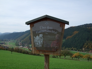 048-Über dem Harmersbachstal 370 m