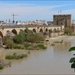 2CO IN Cordoba_Rio Guadalquivir met Puente Romano en Torre de la 