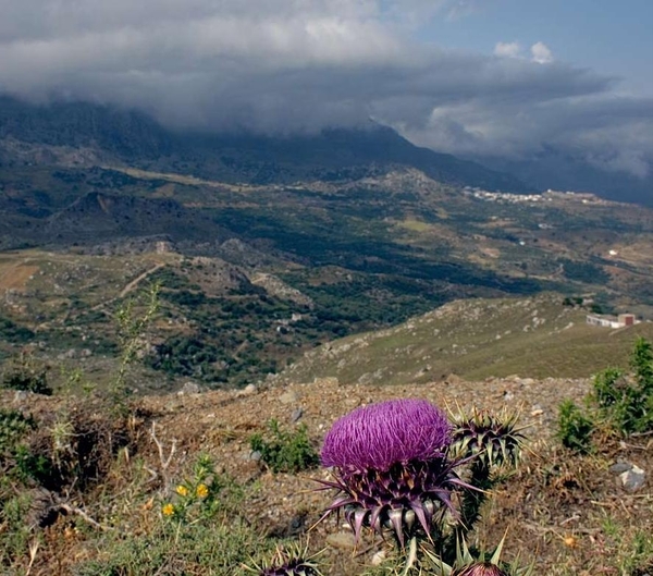 4 Agios Nikolaos omgeving   berglandschap