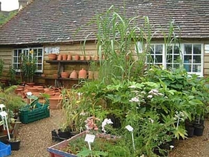 4IN Great Dixter garden - Nursery