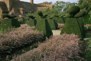 4IN Great Dixter garden - topiary
