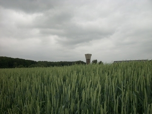 088-Watertoren Vrebos-Moorsel Tervuren
