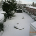 1057.sneeuw in tuin-mrt-08