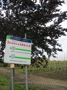 84-Na 15.8km terug in Schellebelle