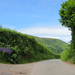 black mountains (wales)