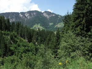 Aviat Tirol 2008 047