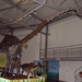081  Uitstap Genk en Mini Europa 13-15 juli 2013 - Dinosaurussen 
