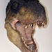 102  Uitstap Genk en Mini Europa 13-15 juli 2013 - Dinosaurussen 