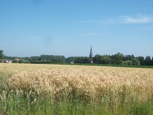 11-Panoramisch zicht van Tollembeek