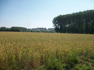 18-Landelijke panorama's in Herne