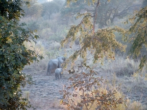 malawi 2003 013