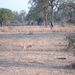 malawi 2003 014