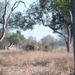 malawi 2003 016