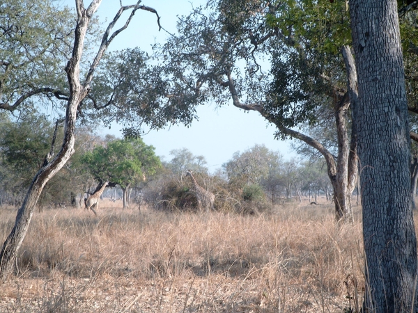 malawi 2003 016