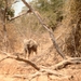 malawi 2003 021