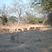 malawi 2003 028