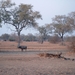 malawi 2003 036