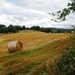 2013_08_18 Sart-en-Fagne 014