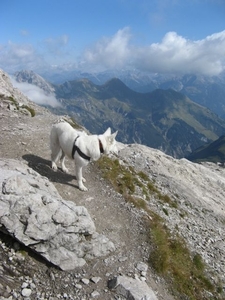 20080920 297 HeilbronnerWeg