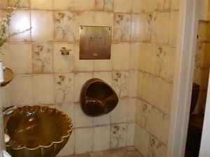 20051127 11u02 Gaichel toilet in het hotel
