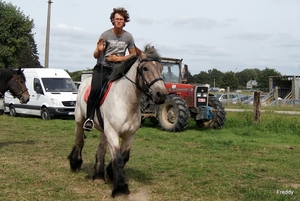 Trekpaarden-1 september-Roeselare-2013