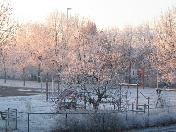 winterwonderland (1)