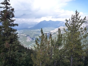 2 Banff _NP, Sulphur Mountain _P1150371