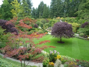 7i Vancouver Island, Butchart Gardens _P1160171