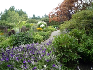 7i Vancouver Island, Butchart Gardens _P1160181