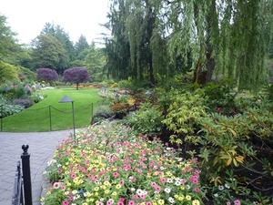 7i Vancouver Island, Butchart Gardens _P1160241