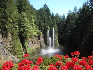 7i Vancouver Island, Butchart Gardens, The Ross Fountain 2