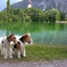 Timmie en  Daisy voor de Nassereithersee in  Tirol Oostenrijk