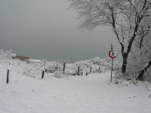 winterfoto (1)