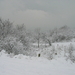 winterfoto (20)