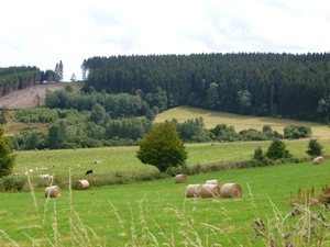 ardennen