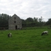 Ierland 2008 211